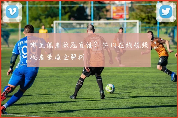 哪里能看欧冠直播?热门在线视频观看渠道全解析