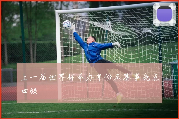 上一届世界杯举办年份及赛事亮点回顾