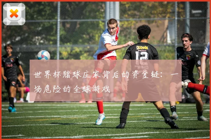 世界杯赌球庄家背后的资金链:一场危险的全球游戏