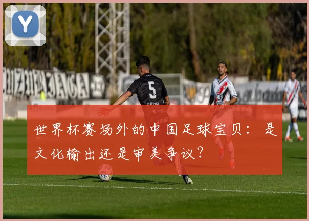 世界杯赛场外的中国足球宝贝：是文化输出还是审美争议？