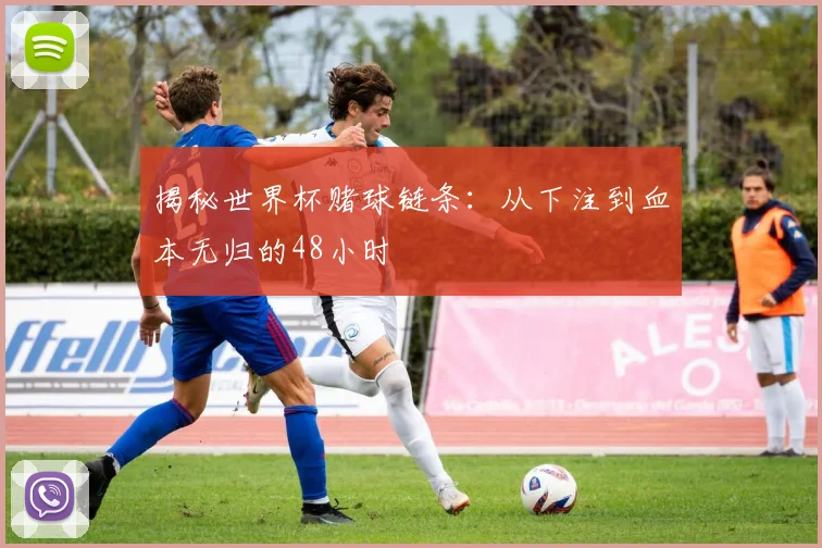 揭秘世界杯赌球链条：从下注到血本无归的48小时