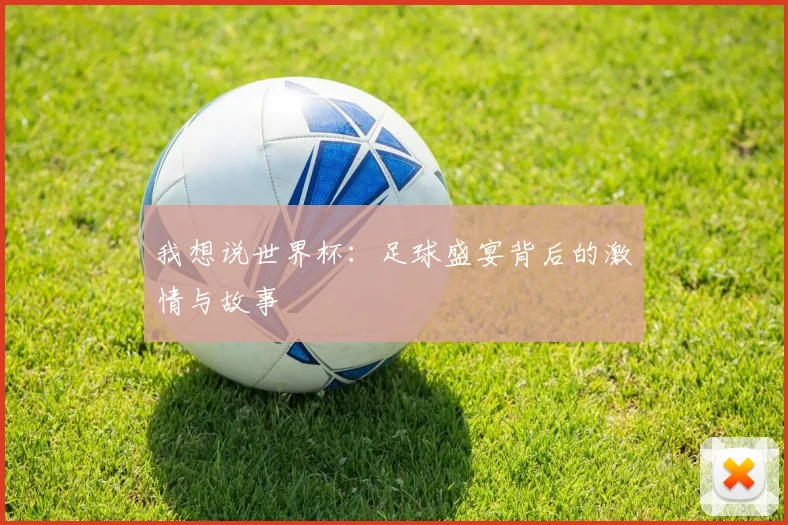 我想说世界杯:足球盛宴背后的激情与故事