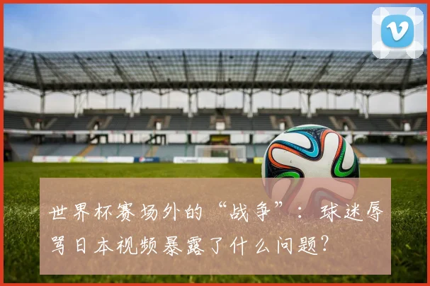 世界杯赛场外的“战争”：球迷辱骂日本视频暴露了什么问题？