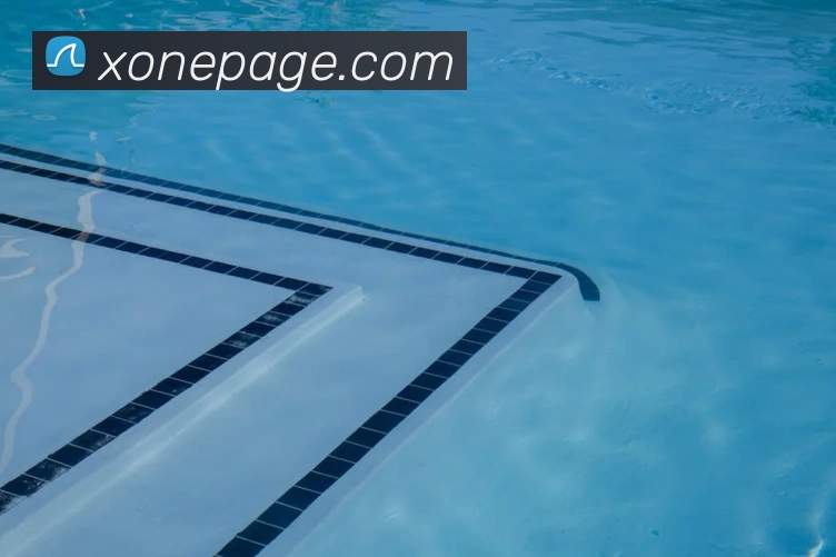 乐鱼网页版登录界面首页服务体系