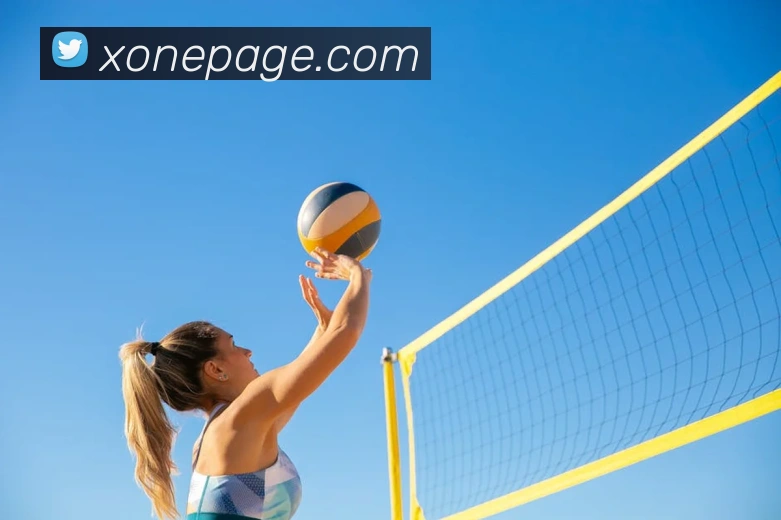 乐鱼网页版登录界面首页APP 体育赛事宣传图